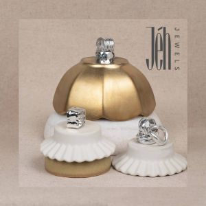 Schaumstoffplatte 30x30 Doppelringe Silber + Blattwerk-Halskette