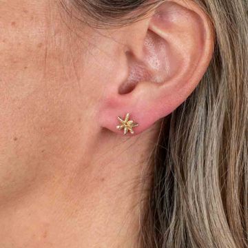 Oorsteker firework zilver verguld