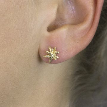 Ohrstecker Feuerwerk vergoldet 