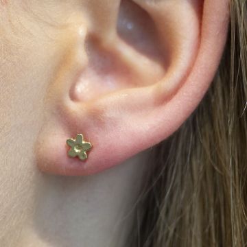 Clous d'oreilles plaqués argent Fleur