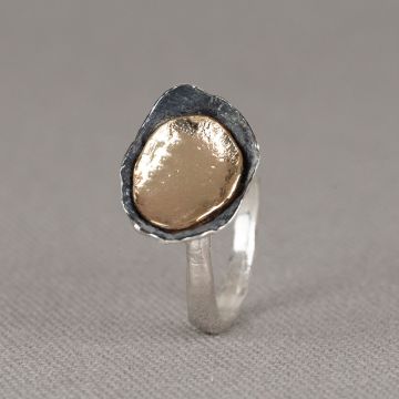 Ring zilver + oxy + 9 karaat Schaaltjes