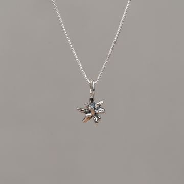 Collier zilver + zilver oxy firework