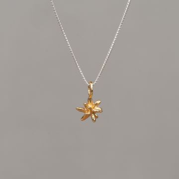 Collier zilver + verguld firework
